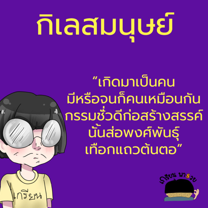 My Image 19
